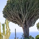 5 Lanzarote 4*
