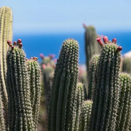 5 Lanzarote Alojamento de Acomodação e Pequeno-almoço Mácher